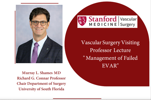 Vascular Surgery Visiting Professor